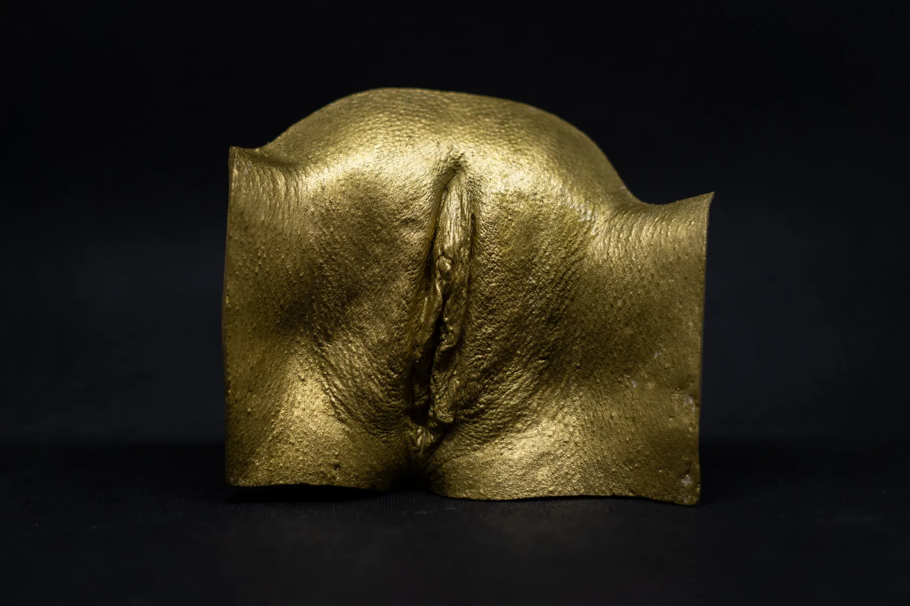 Vulva cast finished in gold leaf on black
